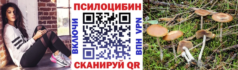 KRAKEN маркетплейс  закладки  Ленск  Галлюциногенные грибы мицелий 