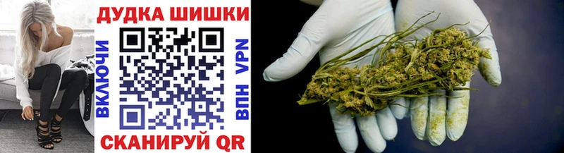 как найти закладки  Ленск  Бошки марихуана планчик 